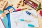 Preview: Herstellerbild Stabilo® Schulfüller EASYbirdy Timber für Rechts- und Linkshänder auf Schreibtisch